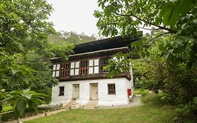 Pemako Punakha
